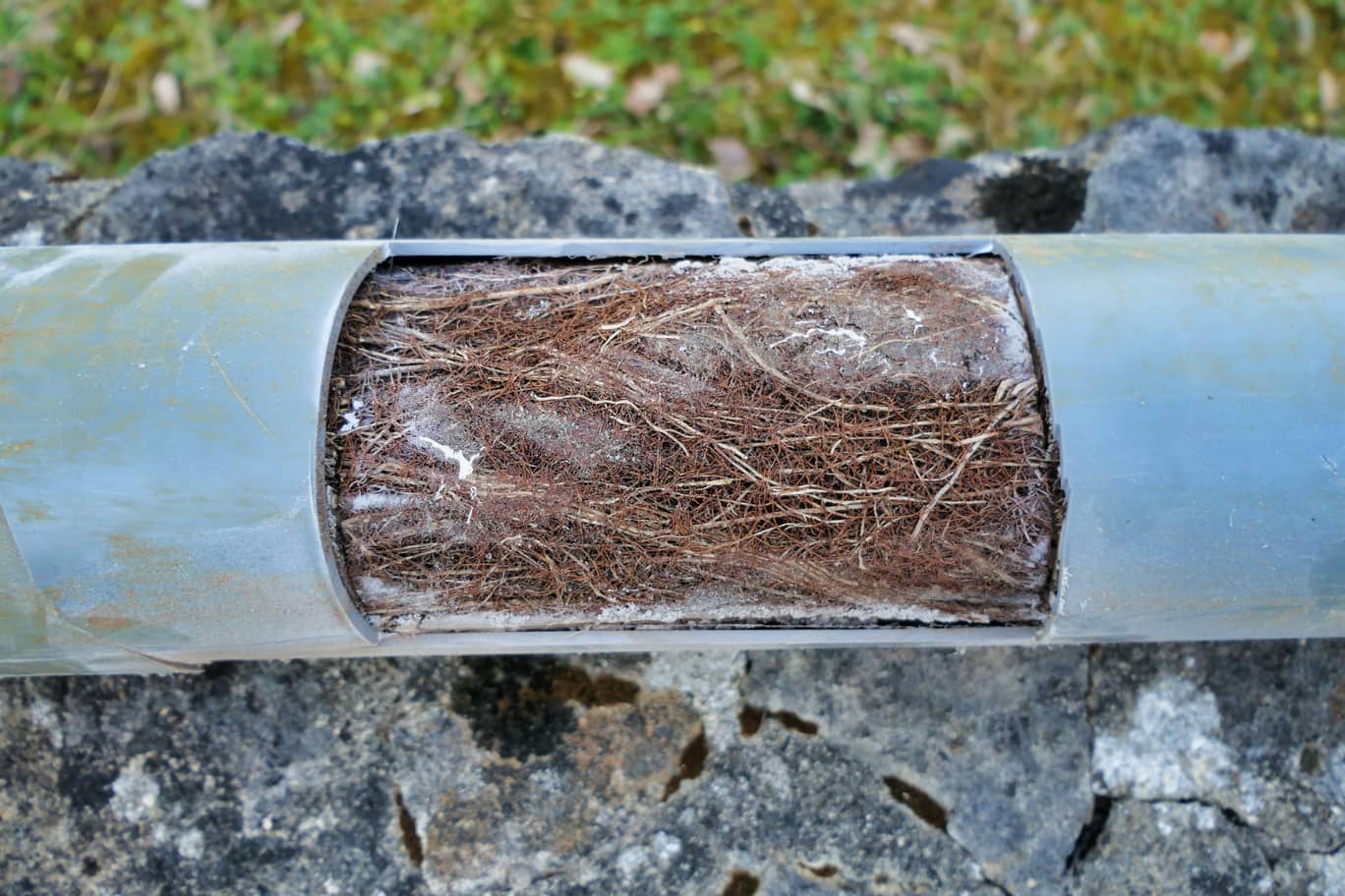 How To Spot Main Sewer Line Obstruction